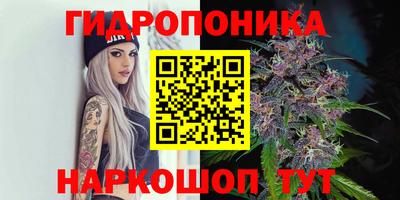 ешки Заволжье
