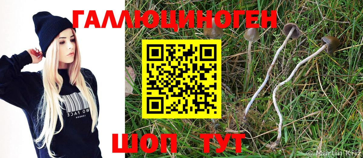 Кумертау  Псилоцибиновые грибы MAGIC MUSHROOMS  Галлюциногенные грибы Psilocybe  Вход с VPN 